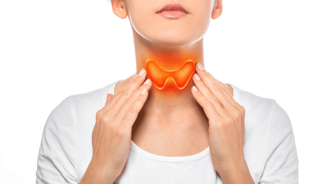 Secure & Low-Priced Synthroid Online: Ensuring Thyroid Health Made Affordable