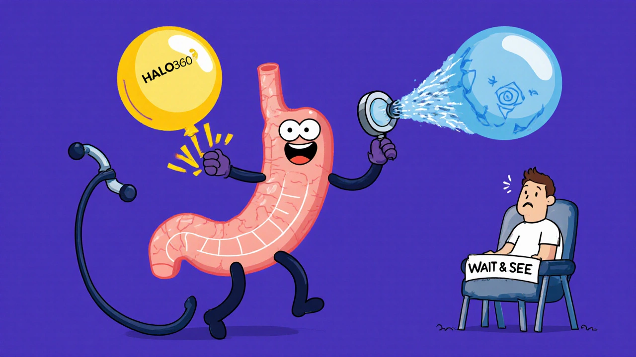 Endoscope dancing on an esophagus, using warm and cold ablation methods to remove diseased tissue.