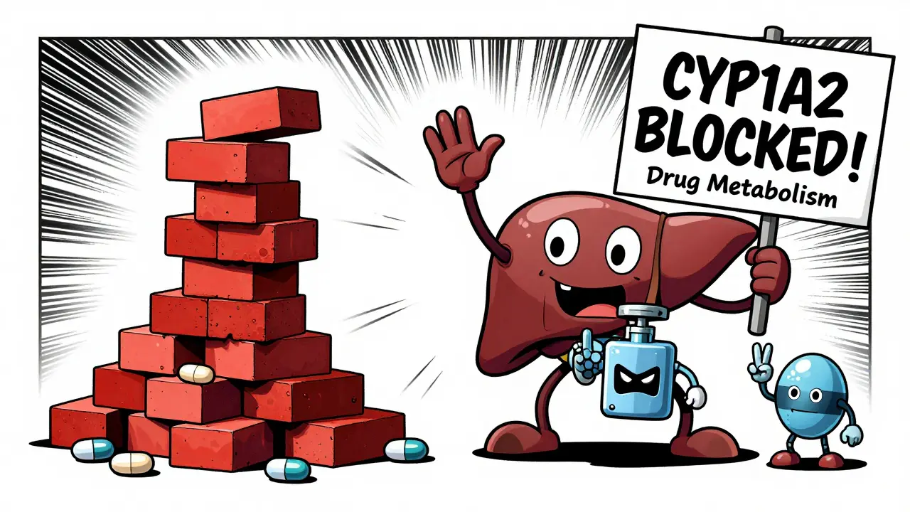 A cartoon liver with arms blocks drug metabolism as theophylline piles up dangerously.